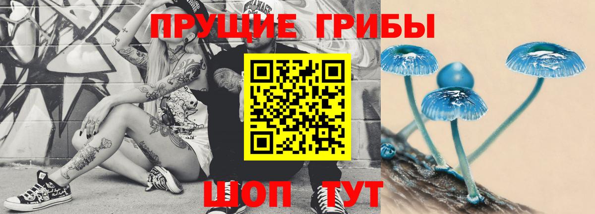 Галлюциногенные грибы прущие грибы Трёхгорный