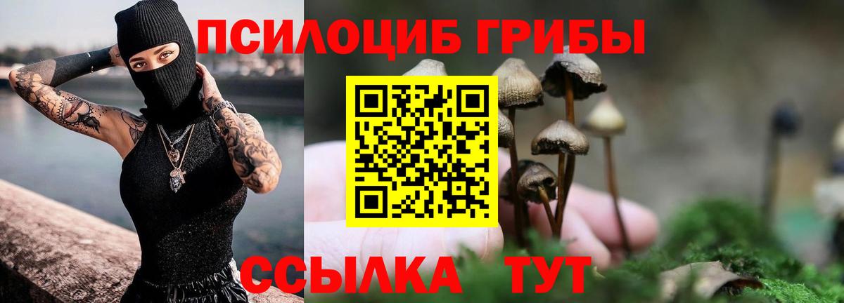 Трёхгорный  Псилоцибиновые грибы мухоморы  купить наркотики сайты  Вход с VPN 